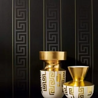 Tapeta z kolekcie Versace, čierna so zlatými doplnkami.