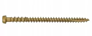 Terasa vrutmi 5x40 pozlacovanie WTR 200Stock