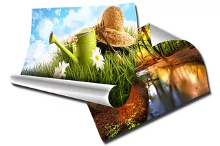 Fototapeta - Foto Foto-plagát 70 × 100 B1
