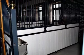EUROMAN1 Mezynski Boxerské boxy pre Maja koní