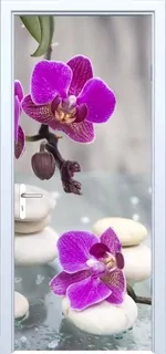 Fototapeta samoprzylepna