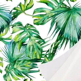 Fototapeta - Murando Monstera B-C-0261-J-Samolepiace tapety