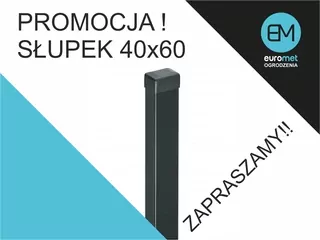 Promo na plotový stĺpik 40 × 60 × 1,2mm oc+ral 200cm - cena brutto za 1ks